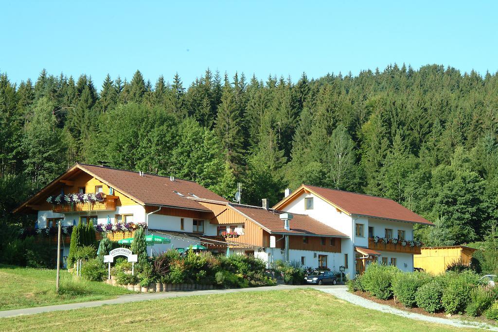 Gasthaus Pension Sternknockel Bodenmais Eksteriør bilde