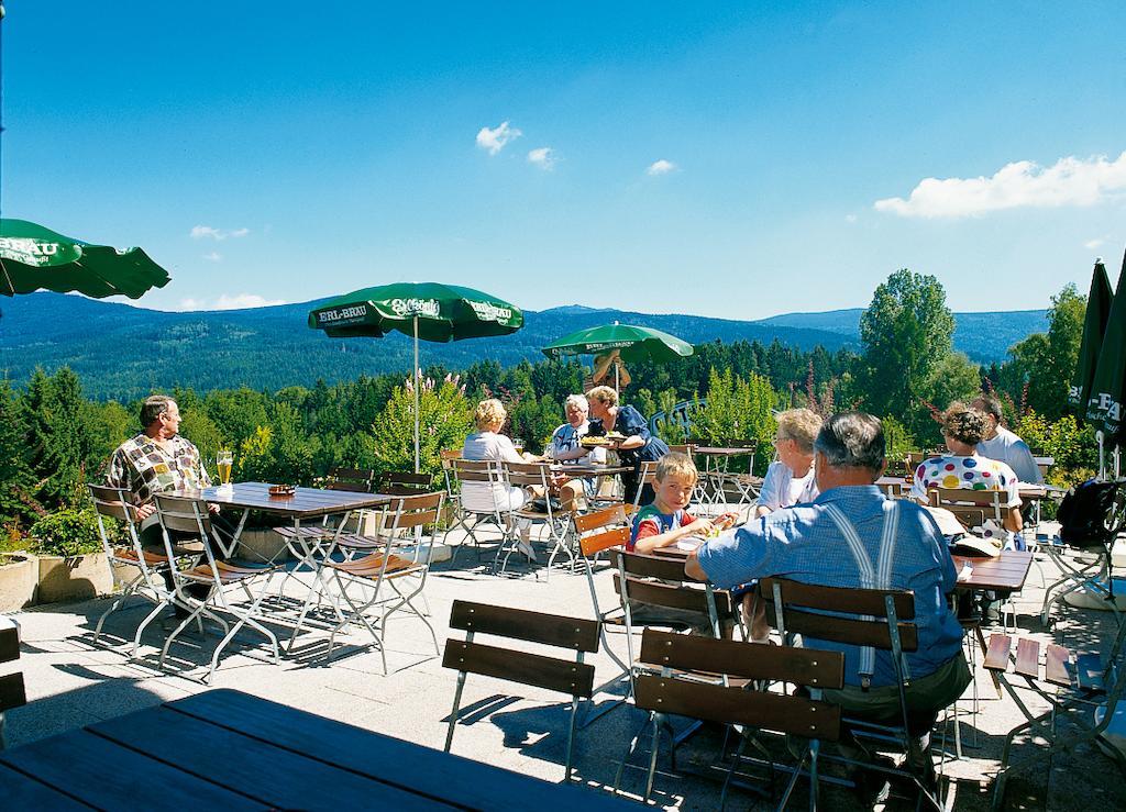 Gasthaus Pension Sternknockel Bodenmais Eksteriør bilde