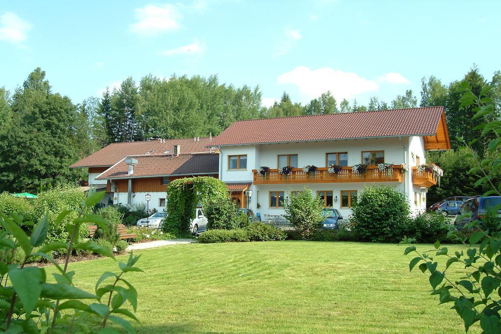 Gasthaus Pension Sternknockel Bodenmais Eksteriør bilde