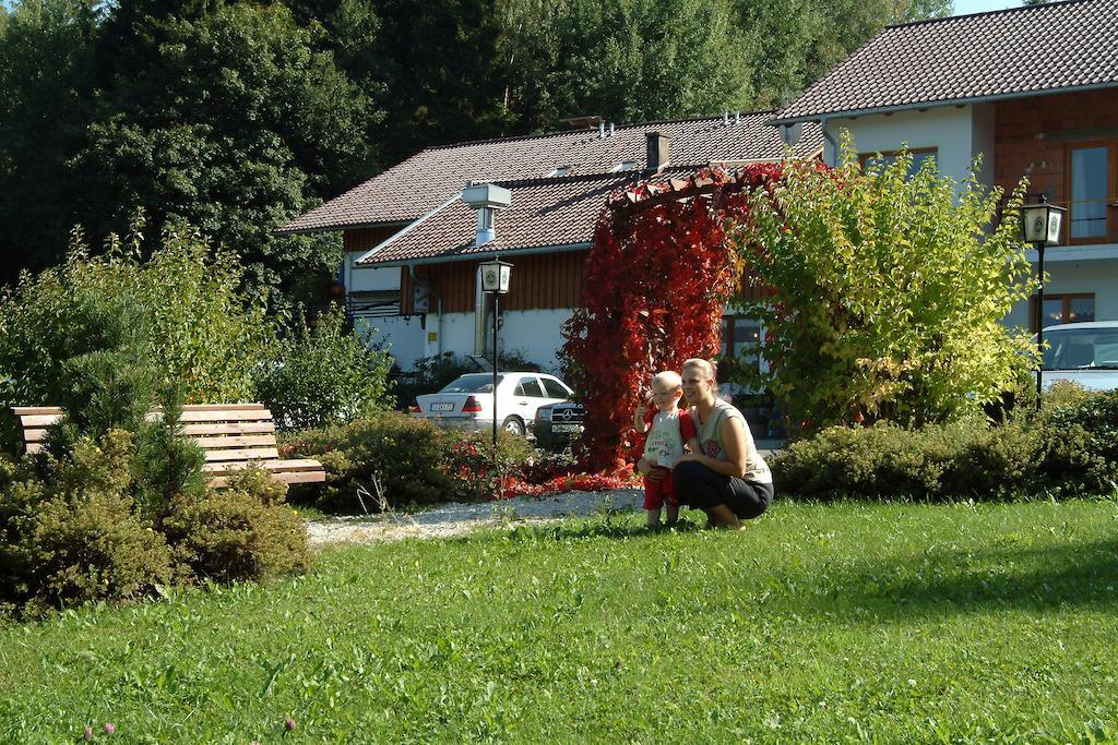 Gasthaus Pension Sternknockel Bodenmais Eksteriør bilde